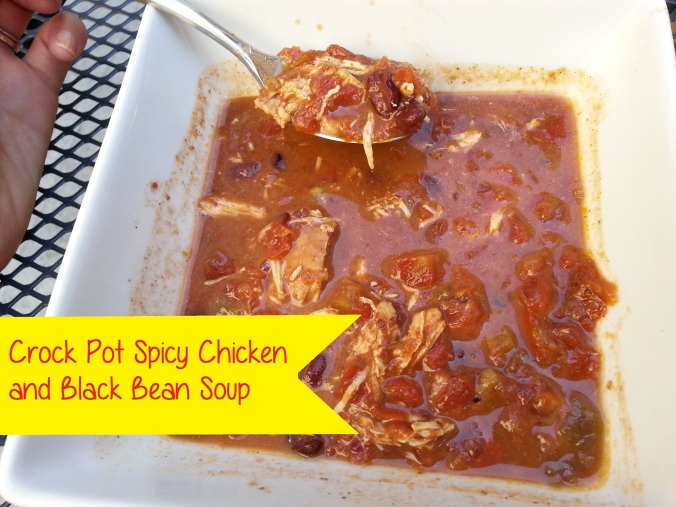 crock pot chicken and black bean soup spicy