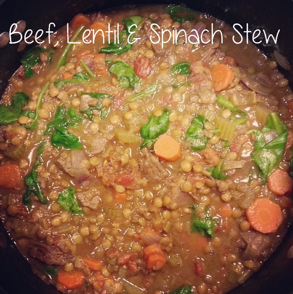 beef, lentil and spinach stew - i crashed the web