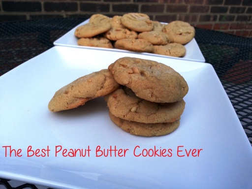 favorite peanut butter cookies - i crashed the web